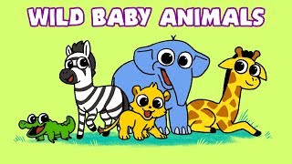 Animals Vocabulary In English  Learn 200 Common Animal Names with Pictures and Pronunciation [upl. by O'Dell961]