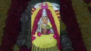 kaliamman Kovil Gudiyattham [upl. by Aryan]