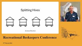 Andrew Wootton Splitting Hives [upl. by Lilac]