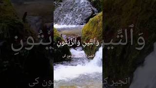 Surah AlTeen with Urdu translation [upl. by Goff]