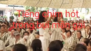 Nữ tù hát tiếng chim hót trong bụi mận gai [upl. by Aniham]