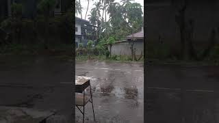 RAIN short trending rain video shortvideo fyp [upl. by Naed363]