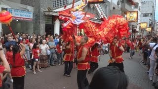 Ano Novo Chinês 2013 Dança do Dragão Dragon Dance [upl. by Ahsinirt]