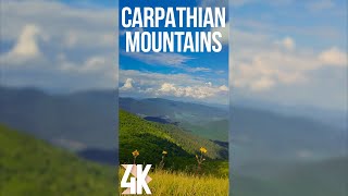 Incredible Nature of the Carpathian Mountains in Ukraine  4K Vertical Video for Tablets amp Phones [upl. by Yeblehs895]