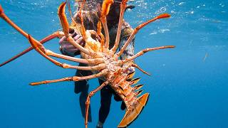 GIANT LOBSTER Bahamas Spearfishing Catch amp Cook [upl. by Pfeifer889]