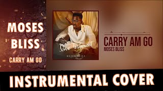 MOSES BLISS  CARRY AM GO  INSTRUMENTAL COVER [upl. by Kcirdnekel]