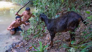 Amazing Video Cooking In Forest 2021  Catch Wild Goat to Cooking Eating Delicious [upl. by Boylan]