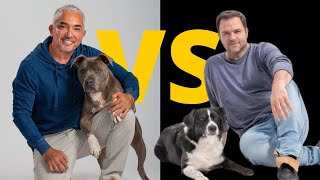 Millan vs Rütter Wer ist der bessere Hundetrainer [upl. by Namra671]