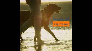 Good Dogs Training Camp 1 Beaches Trainer [upl. by Arul]