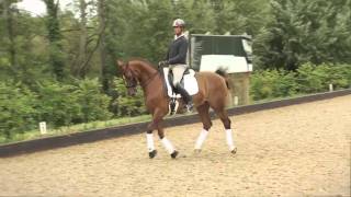 The best of the London 2012 Olympics Carl Hester dressage [upl. by Llerdna147]