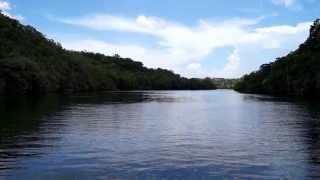 Cuba  Matanzas  Canimar River  Boat trip [upl. by Ellenwad]