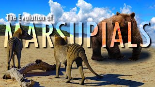 Australia the last land of MARSUPIALS [upl. by Napra]