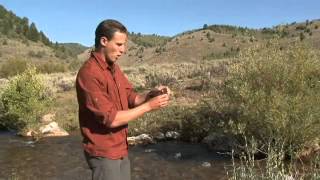 How to Measure Dissolved Oxygen in Water [upl. by Sager845]