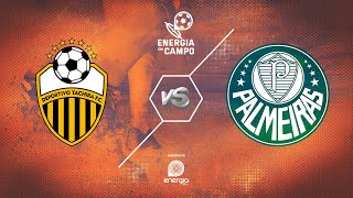 DEPORTIVO TACHIRA X PALMEIRAS  06042022  COPA LIBERTADORES  AO VIVO [upl. by Eolc]