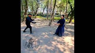 Katana vs Rapier esgrima martialarts [upl. by Lynnette614]