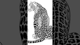 Leopard drawing drawing art fyp [upl. by Mcnamee]