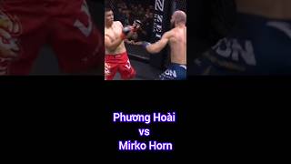 Nguyễn Vũ Phương Hoài vs Mirko Maurice Horn và cái kết [upl. by Kristo]