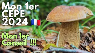 Mon 1er cèpe 2024 mon 1er conseil  cepes 2024 nature asmr [upl. by Cyndy]