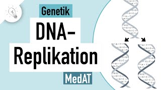 DNA Replikation einfach erklärt  Genetik  MedAT  Biologie [upl. by Hawk]