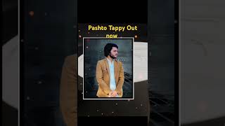 Pashto Tappy  pashtonewsongs2024 pashtoghazal pashtomusic osratatoratora [upl. by Ahseele953]