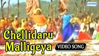 Dheko Re Dheko  Simhada Mari  Shivaraj Kumar  Simron  Kananda Song [upl. by Aissert]