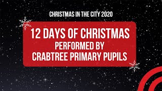 The 12 days of Christmas  Crabtree Farm pupils [upl. by Eilram]