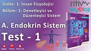 Test  1  Endokrin Sistem  Hormonların Yapısı ve İşleyişi [upl. by Auqcinahs]