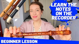 Beginner Recorder Lesson learning the notes  Team Recorder [upl. by Filide282]