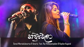 හමුවෙලා Hamuwela Dumal Warnakulasuriya amp Umaria Feat Raj amp Kapilan [upl. by Farnham]