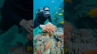 Why Coral Reefs Are The MOST IMPORTANT Ecosystem [upl. by Norita120]