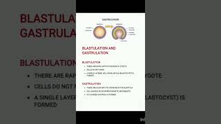 Blastulation amp Gastrulationiasexam neet2023 zoology [upl. by Eenafets]