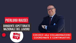 COCOCO ovvero COLLABORAZIONI COORDINATE E CONTINUATIVE [upl. by Ekal677]