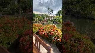 Walk Through Royal Sonesta kauai hawaii [upl. by Denney607]