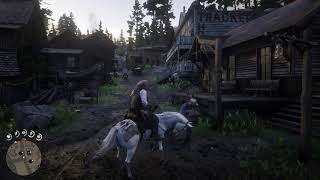 Red Dead Redemption 2 Cattail Pond murder [upl. by Enohpesrep]