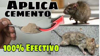 COMO Eliminar RATAS y RATONES de Manera Permanente [upl. by Wilfreda]