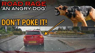 Road Rage  An Angry Dog [upl. by Anyak769]