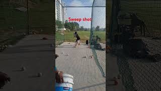 Sweep shot attitude motivation 🏏edit quotes millionaire cricket glory crickettraining dhoni [upl. by Nirat748]