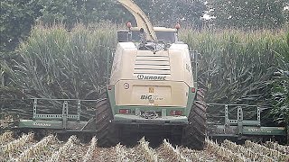 Krone Big X 1100 amp 3 Visini Tetra  Copeta Angelo amp Sergio  Corn silage 2018 [upl. by Huntley]