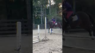 I CABR BELIVE I EDITED THIS horse equestrianvibes equestrian equestrianlove [upl. by Bottali]