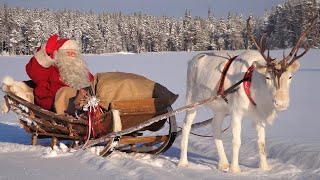 Joulupukin porojen salaisuudet 🦌🎅 Joulupukki amp Poro Lappi Rovaniemi Korvatunturi Napapiiri Santa [upl. by Eirot735]