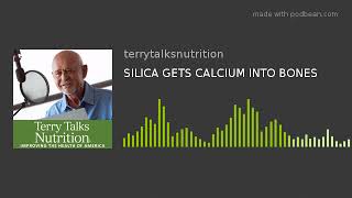 SILICA GETS CALCIUM INTO BONES [upl. by Gnauq]