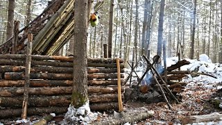 Solo Bushcraft Camp 2 Nights in the Snow  Natural Shelter Minimal Gear [upl. by Blithe]