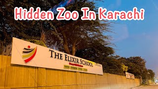 Elixir Zoo Hidden Zoo In Karachi Fun Activities location in description [upl. by Atinrev]