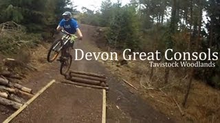 Devon Great Consols  Tavistock Woodlands Quadcopters and Mountain Bikes [upl. by Paley]