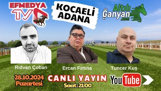 29102024 Salı Adana ve Kocaeli Altılı Ganyan At Yarışı Tahminleri [upl. by Stockwell]