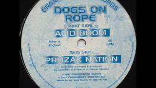 Organgrinder 1  Dogs On Rope  Acid Boom [upl. by Dinnage626]