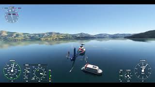 Flight Simulator  Akaroa Dolphins Cruise [upl. by Nylhsa]