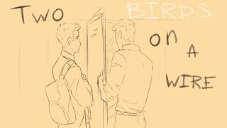 Two Birds  Bare a Pop Opera  Read description [upl. by Sidhu836]