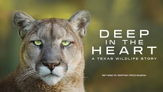 Deep in the Heart A Texas Wildlife Story  Narrated by Matthew McConaughey  WaterBear  Trailer [upl. by Michale]