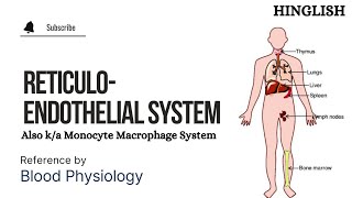 Reticuloendothelial systems  RE system  Monocyte Macrophage cell system [upl. by Ellehcar]